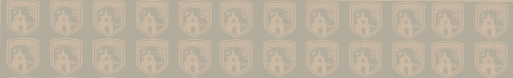 Mobile Page Title BG